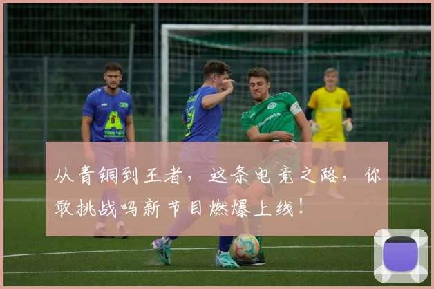 从青铜到王者，这条电竞之路，你敢挑战吗新节目燃爆上线！