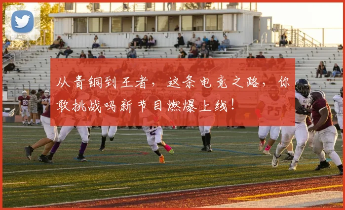 从青铜到王者,这条电竞之路,你敢挑战吗新节目燃爆上线!