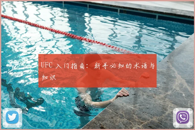 UFC 入门指南:新手必知的术语与知识