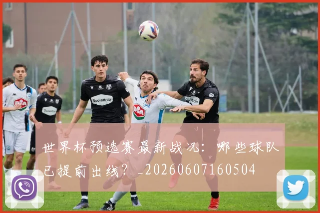 世界杯预选赛最新战况：哪些球队已提前出线？_20260607160504